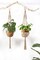 2 Pack Macrame Plant Hangers Indoor Hanging Planter Basket Decorative Flower Pot Holder Jute Rope for Indoor Outdoor Home Decor 4 Legs 40 Inch, Brown